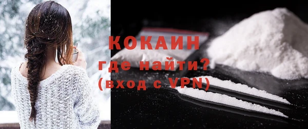 гидра Рославль