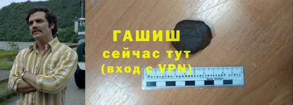гидра Рославль