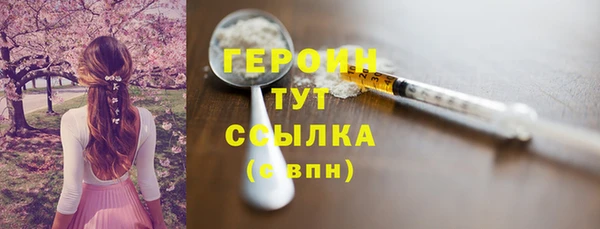 гидра Рославль