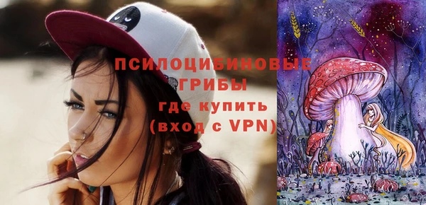 гидра Рославль