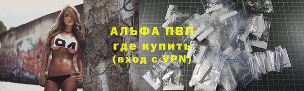 гидра Рославль