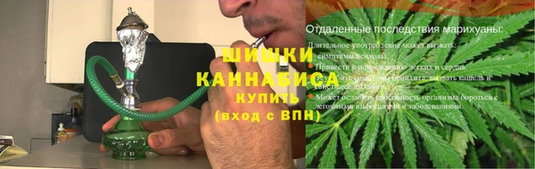 гидра Рославль